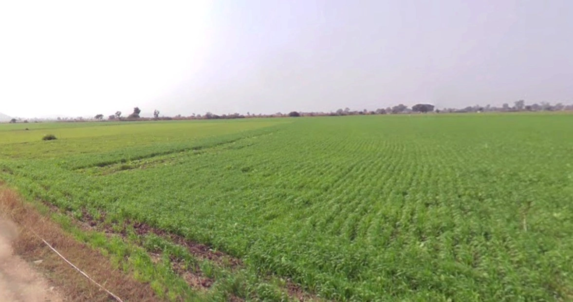 Kamlapur, Madhya Pradesh 455227, India