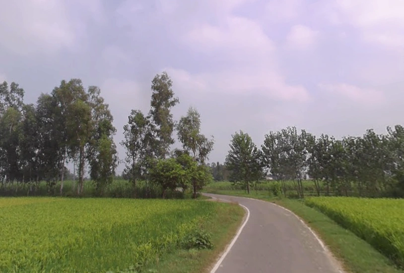 Q3QJ+F5Q, Old Delhi Rd, Shahpur Chaudhary, Garh Mukteshwar, Uttar Pradesh 245205, India