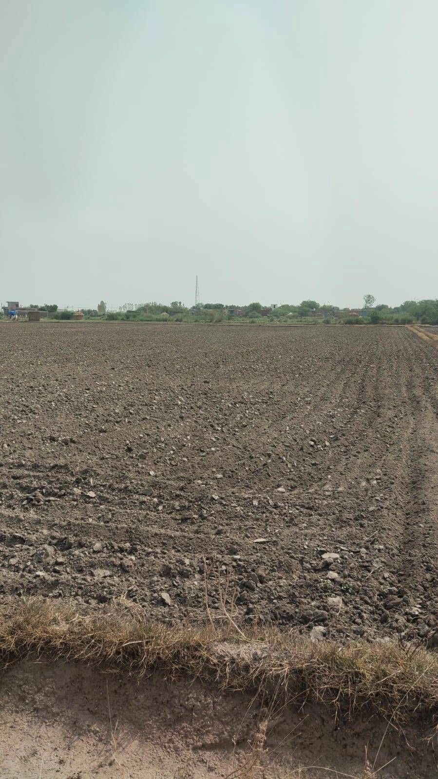 Agroha, Haryana 125047, India