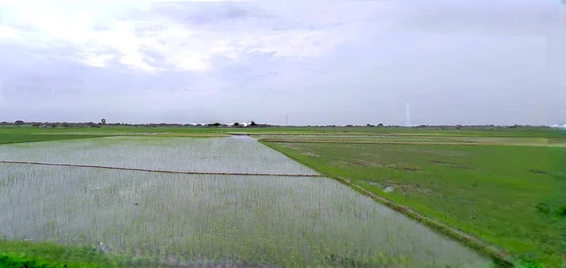 Barnagar, Madhya Pradesh 456771, India preview 3