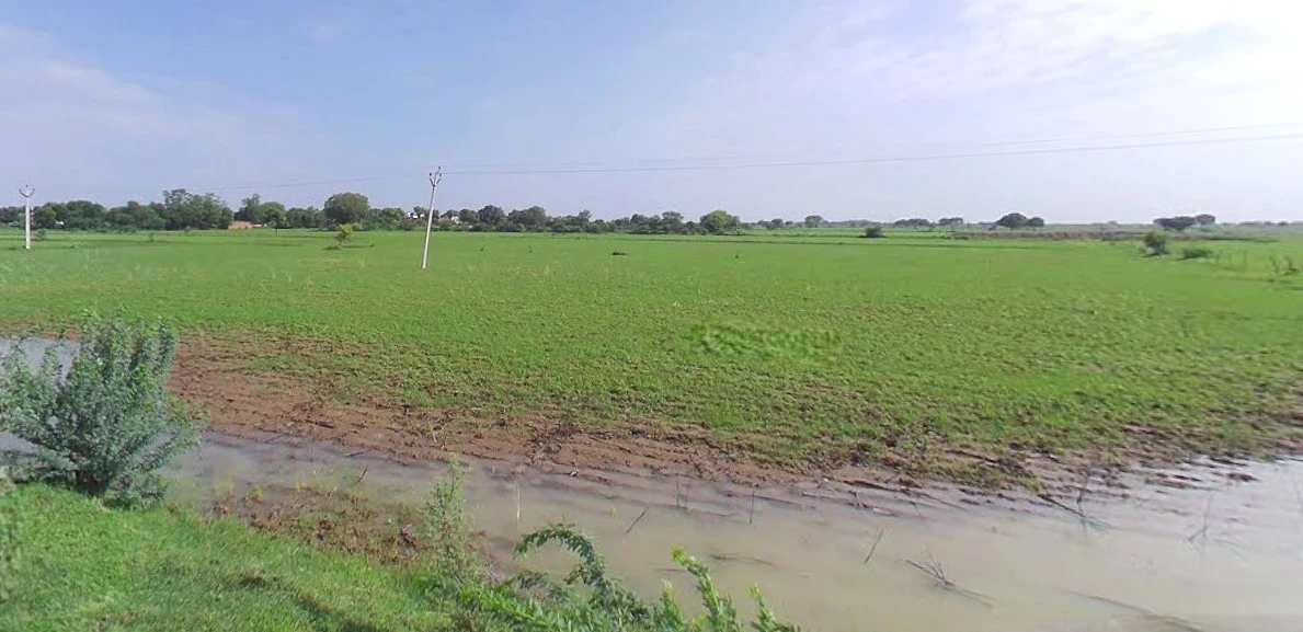 Jhajjar, Haryana 124103, India