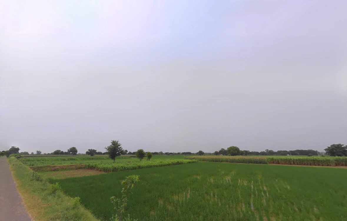 Julana, Haryana 126101, India
