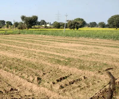 FQ4V+VQ Kheda Khajuriya, Madhya Pradesh, India preview 2