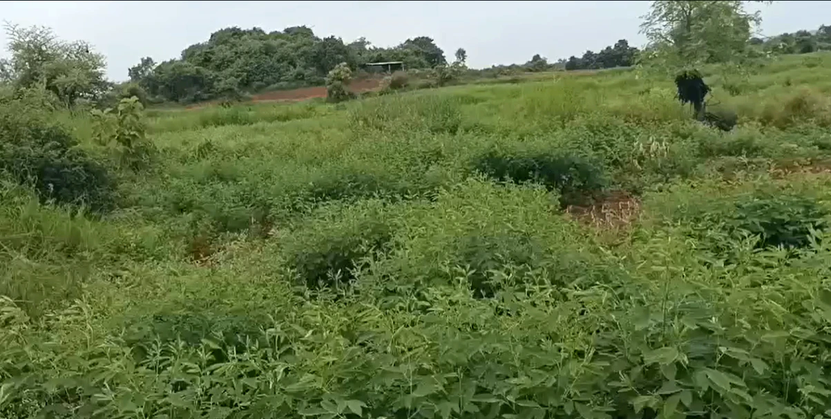 CXJ5+PR Nawabpet, Vikarabad, Telangana, India