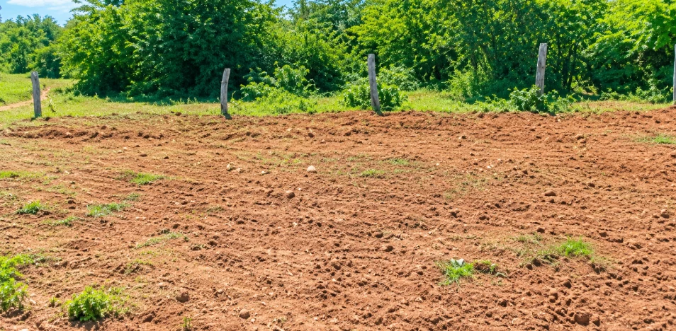 venkatesh, Yadadri Bhuvanagiri, 3-88, above Chiluka, Turkapalli, Gopalpur, Telangana 508117, India
