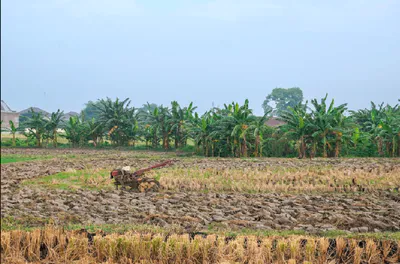 Kapsiya Kalan, Chhattisgarh 495112, India preview 2