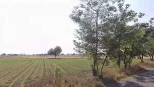 Makurgram, West Bengal 722176, India preview 3