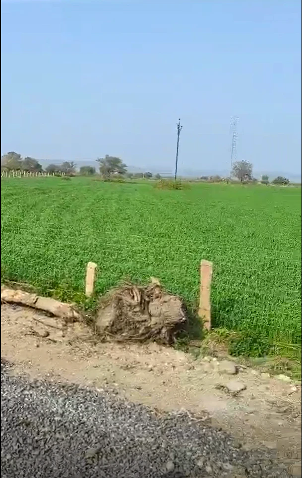 FQMF+48M, Mandsaur, Khajurna, Madhya Pradesh 458778, India