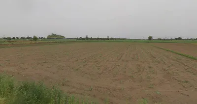 Baral, Uttar Pradesh 203408, India preview 2