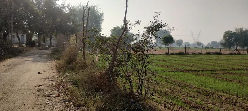 Bagar Rajput, Rajasthan, India preview 3