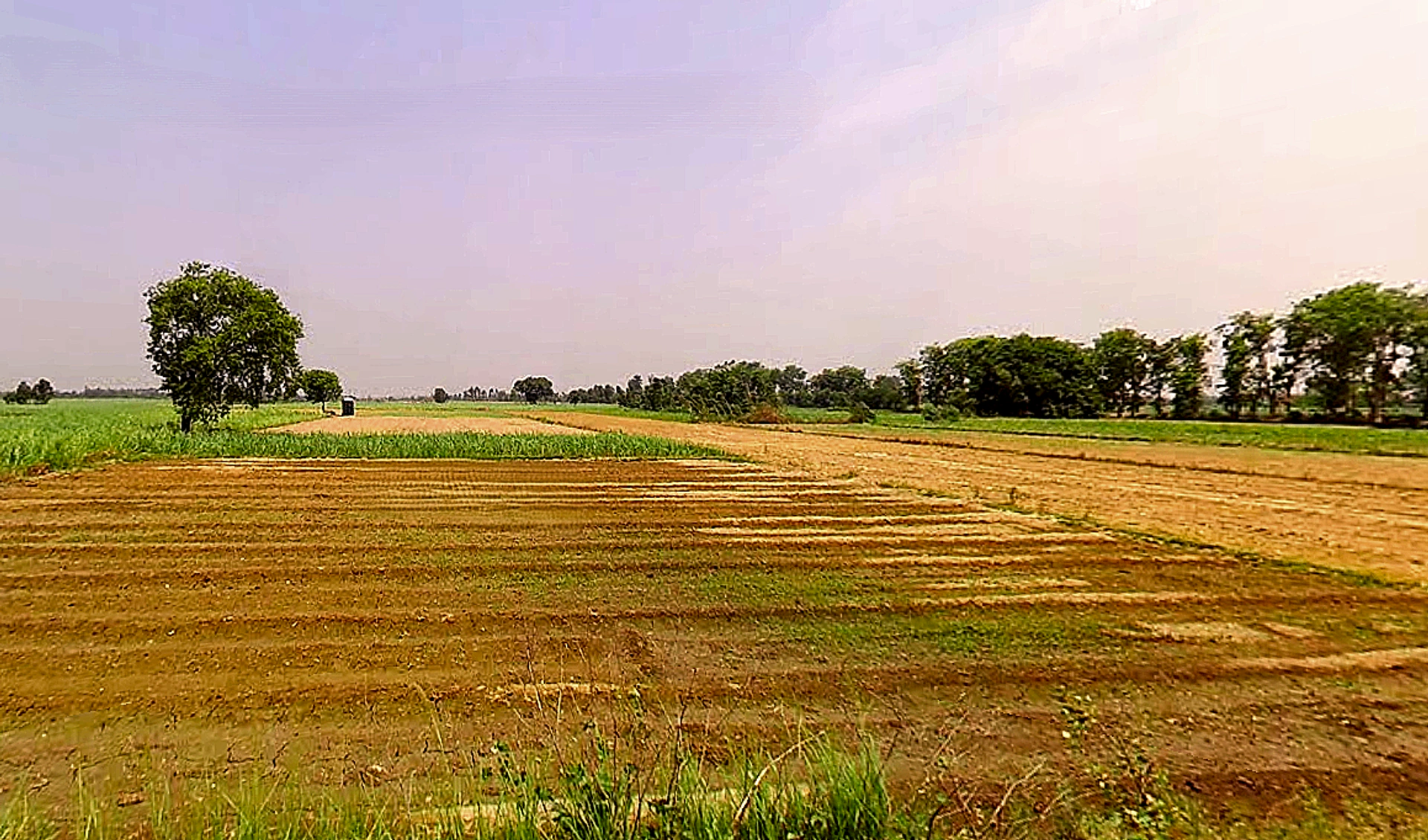 Sirsi, Uttar Pradesh 244301, India