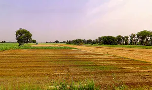 Sirsi, Uttar Pradesh 244301, India preview 2