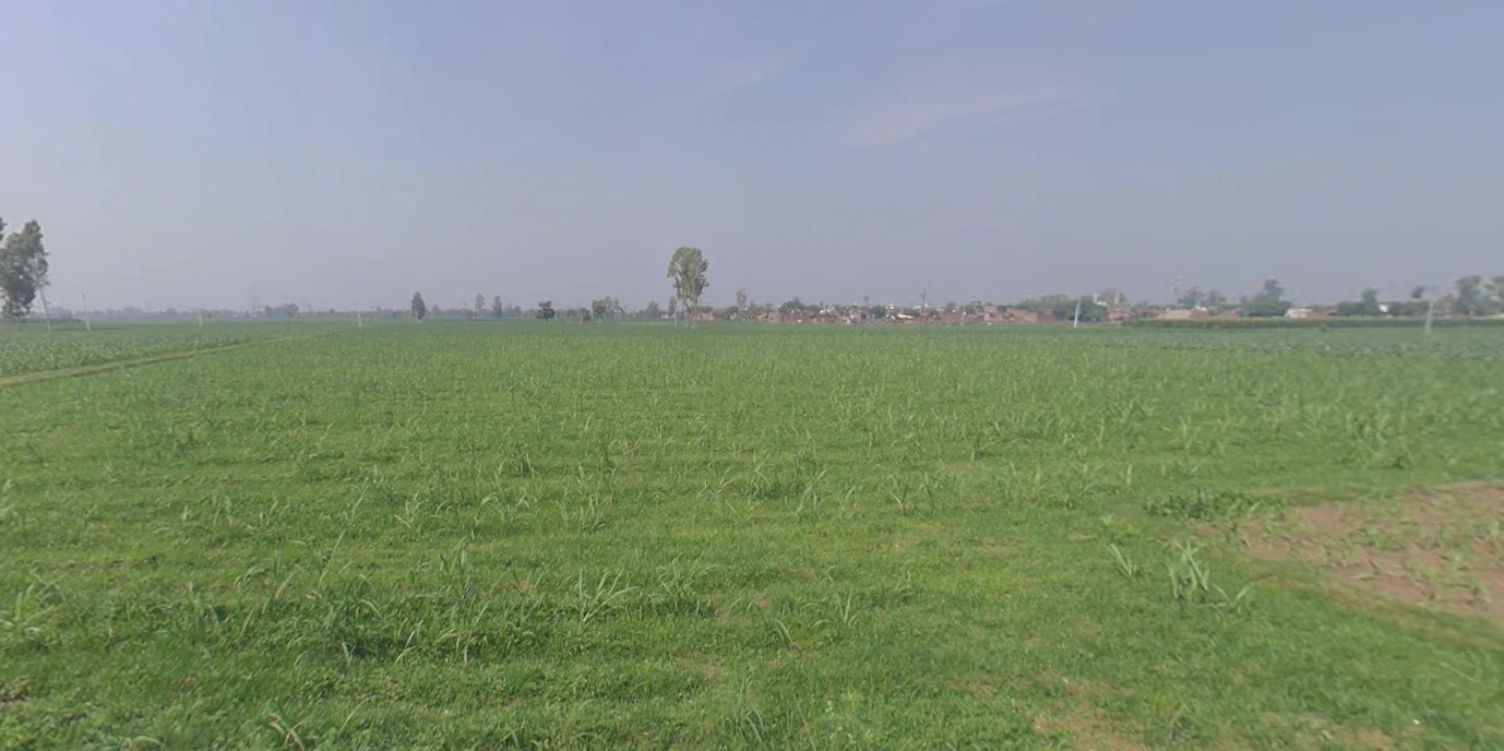 Tanda, Uttar Pradesh 244925, India