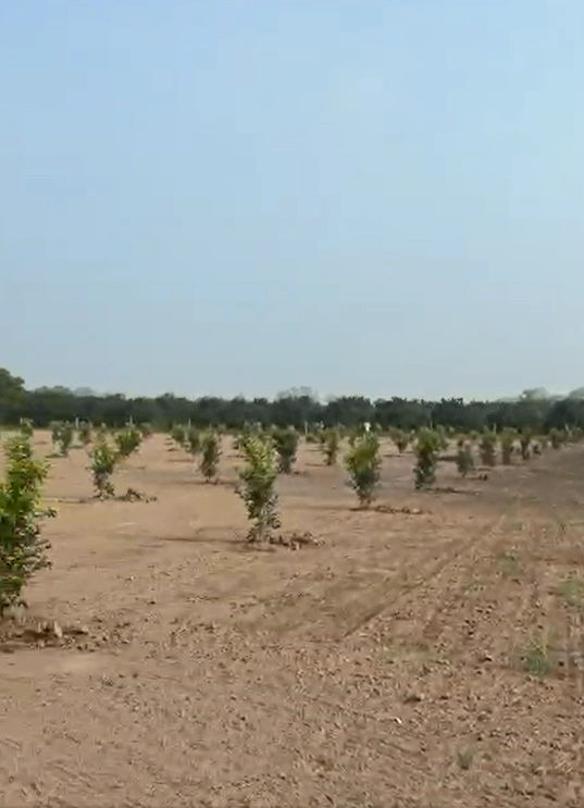 27QV+JM5, Fazilka, Bhagsar, Punjab 152026, India
