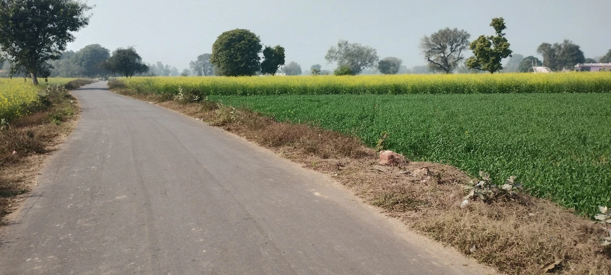 Barodameo, Rajasthan 301021, India