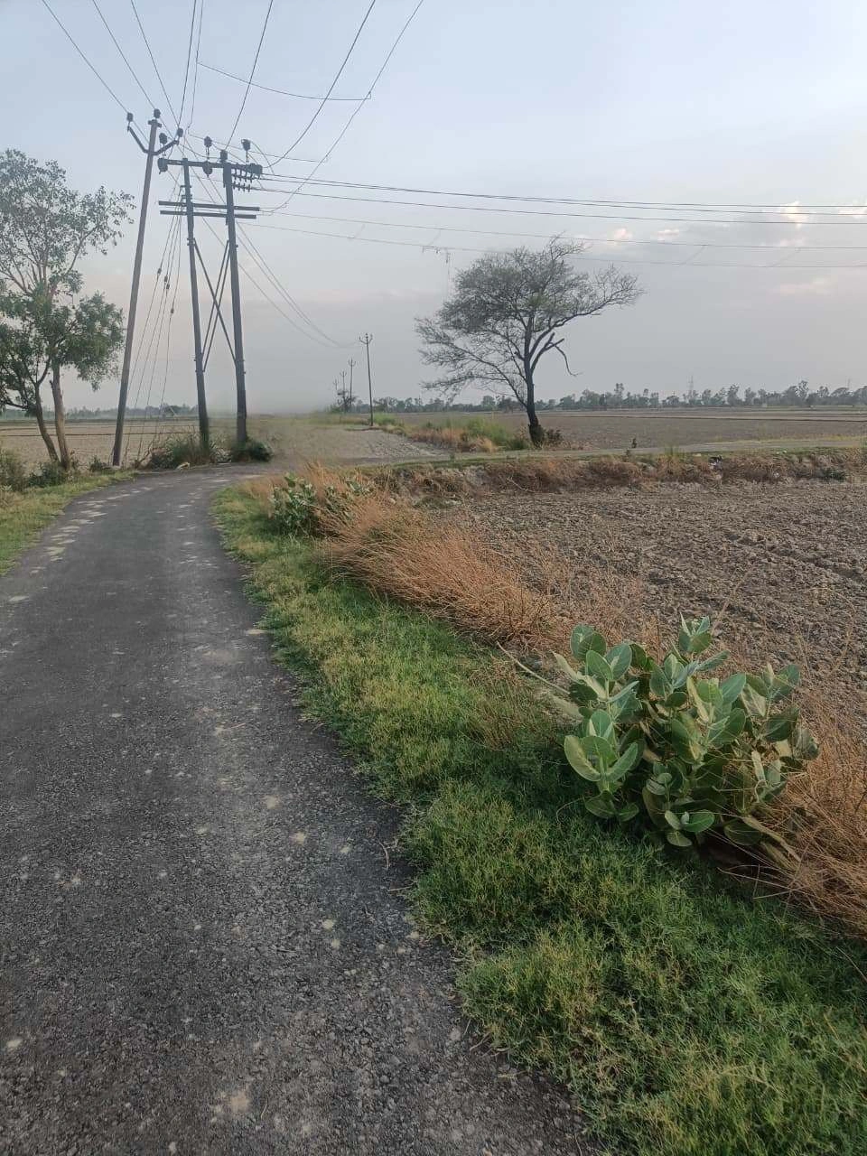 Aou, Rajasthan, India