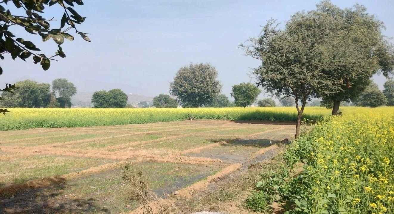 Bansur, Rajasthan 301402, India