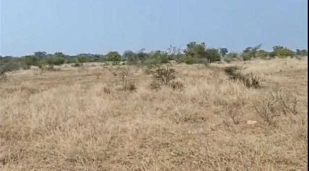 MQWV+2W Padamati Palle, Telangana, India