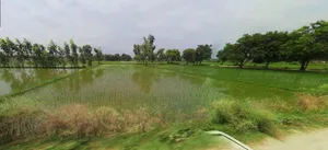 Kathoomar, Rajasthan 321605, India preview 3