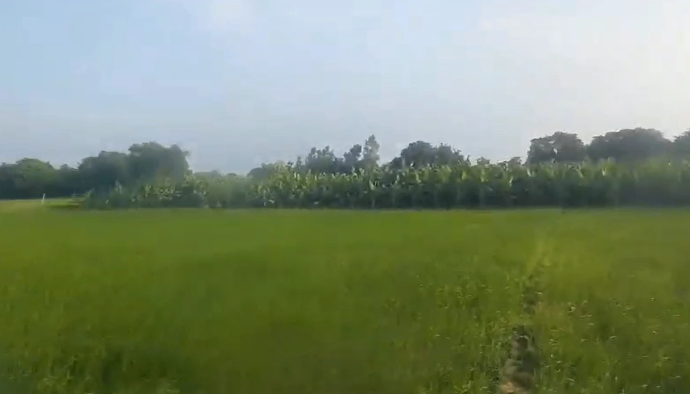 Bakshi Ka Talab, Bargadi Magath, Uttar Pradesh 226201, India