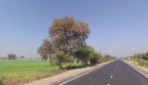 NH 47, Ghatabillod, Madhya Pradesh, India preview 3