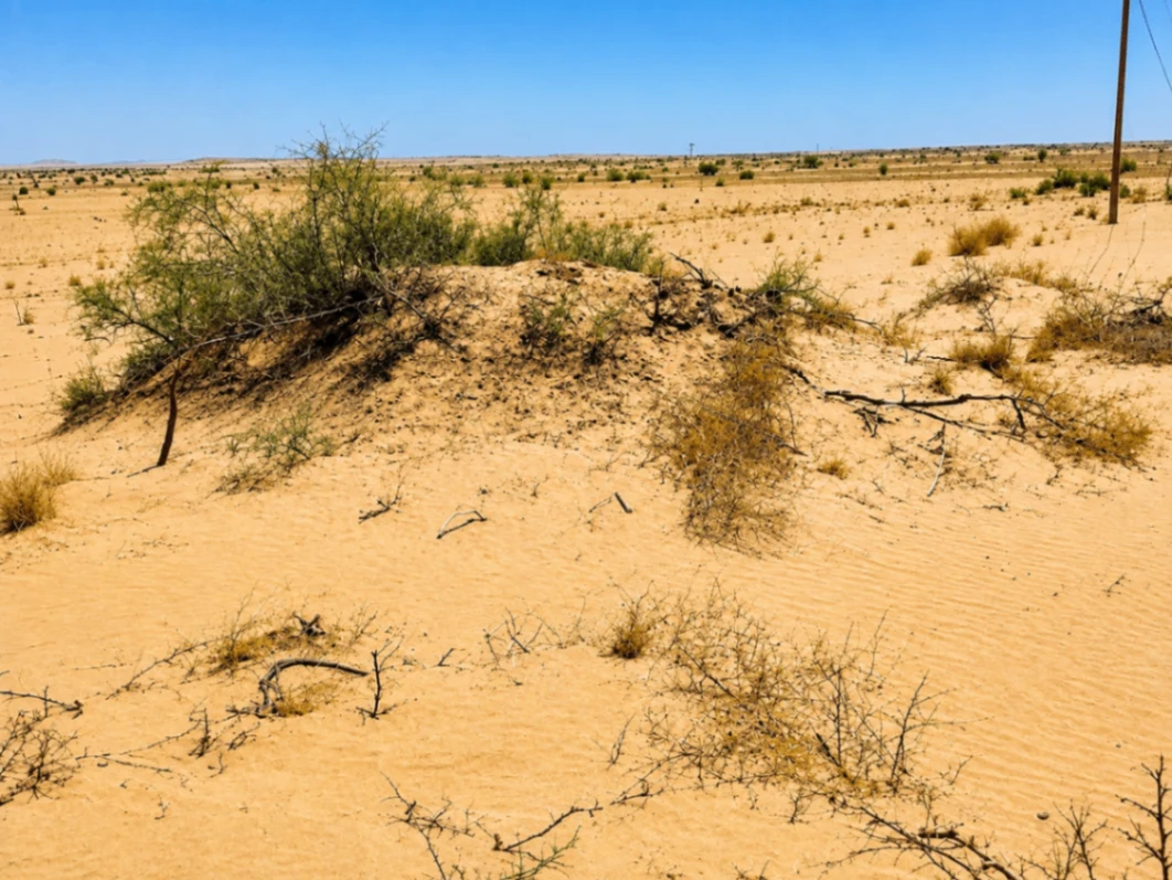 Arang, Rajasthan 344701, India