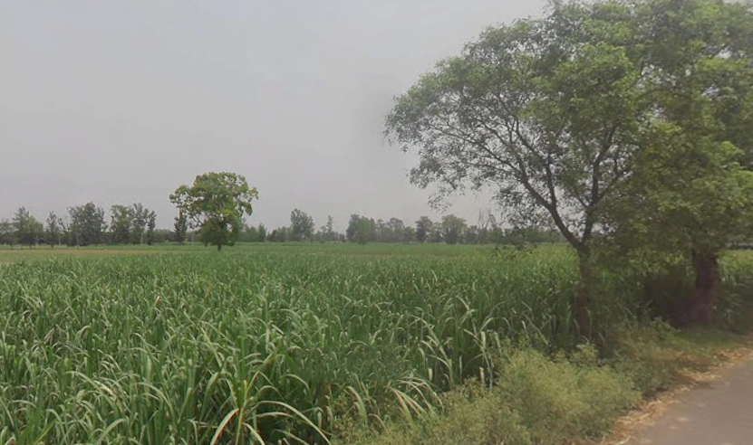 Garh Mukteshwar, Uttar Pradesh 245205, India