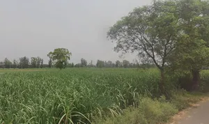 Garh Mukteshwar, Uttar Pradesh 245205, India preview 2
