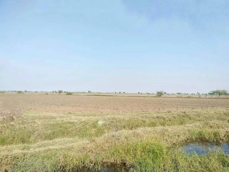 Etawah, Rajasthan 325004, India preview 2