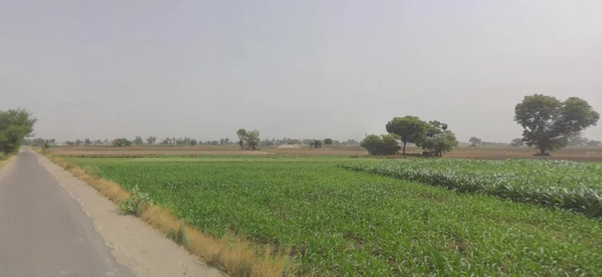 8F4F+29 Ambavpura, Gujarat, India