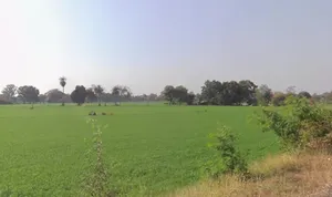 Bhidota Khurd, Madhya Pradesh 454001, India preview 2