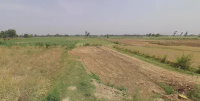 Kanth, Uttar Pradesh 244501, India preview 3