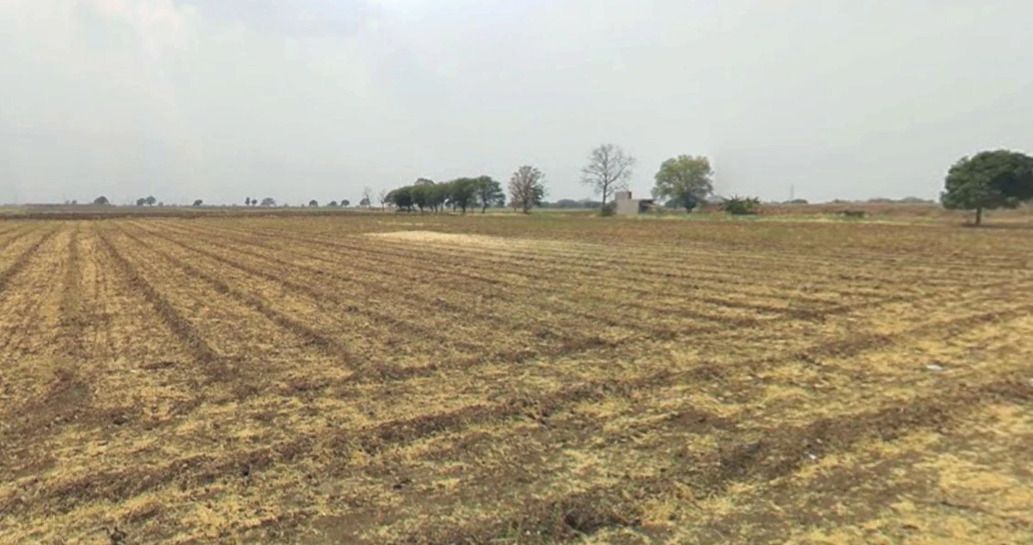 Badi, Madhya Pradesh 455227, India