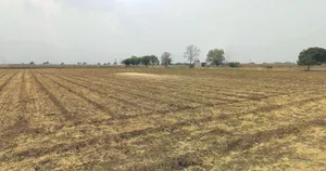 Badi, Madhya Pradesh 455227, India preview 2