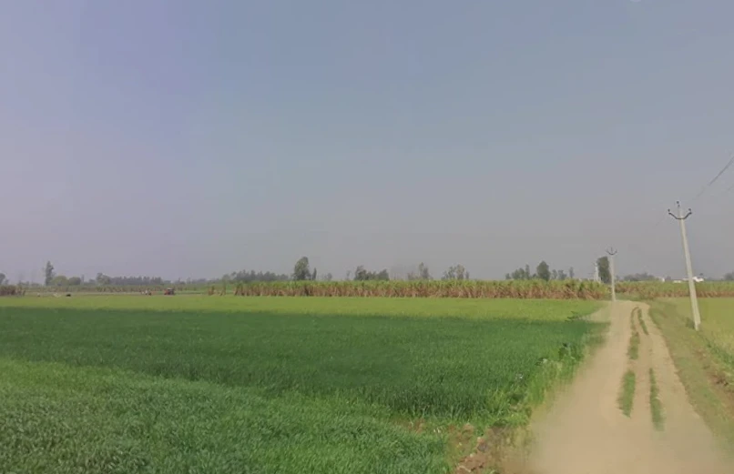 Mawana, Uttar Pradesh, India