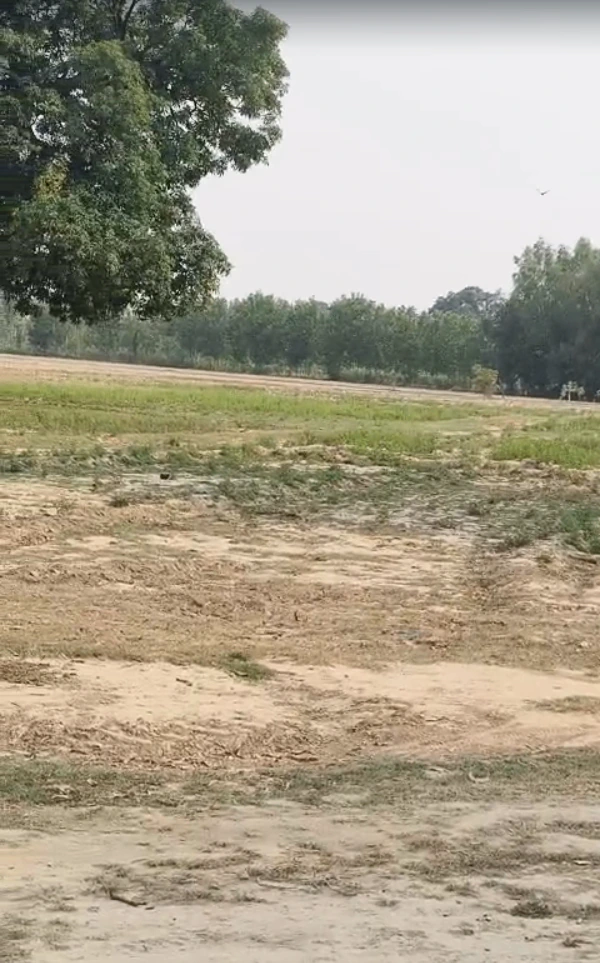 Tilhar, Shahjahanpur, Uttar Pradesh 242307, India
