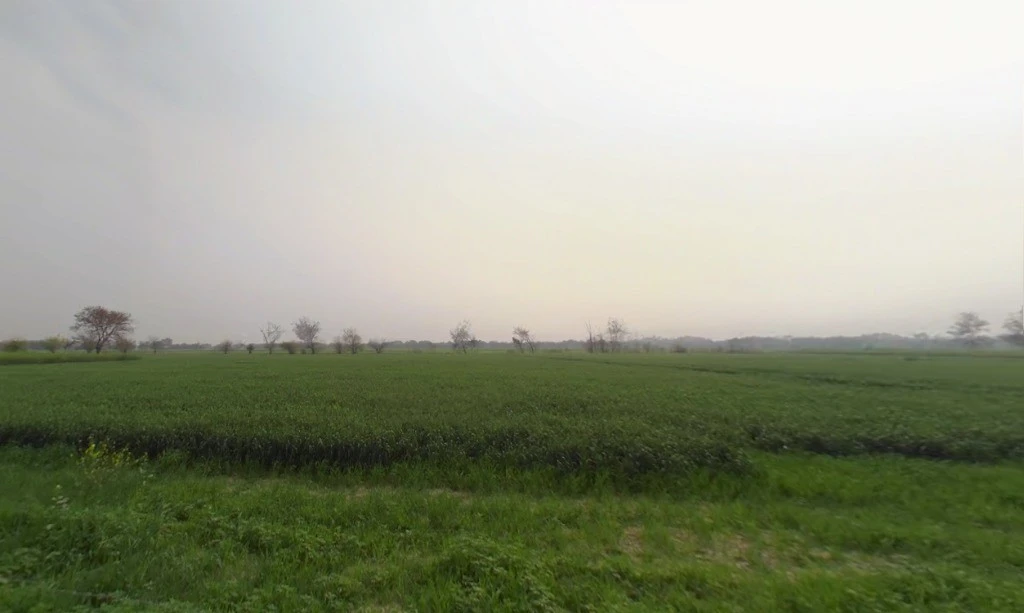 JMG6+PJ4, Jhajjar, Jhajjarrural, Haryana 124103, India