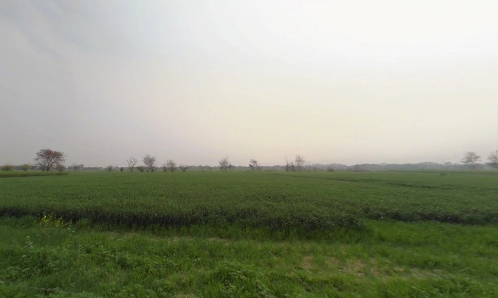 JMG6+PJ4, Jhajjar, Jhajjarrural, Haryana 124103, India