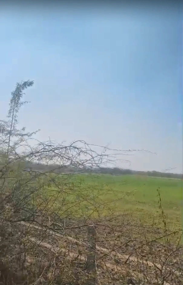 77PV+88 Kantoli, Rajasthan, India