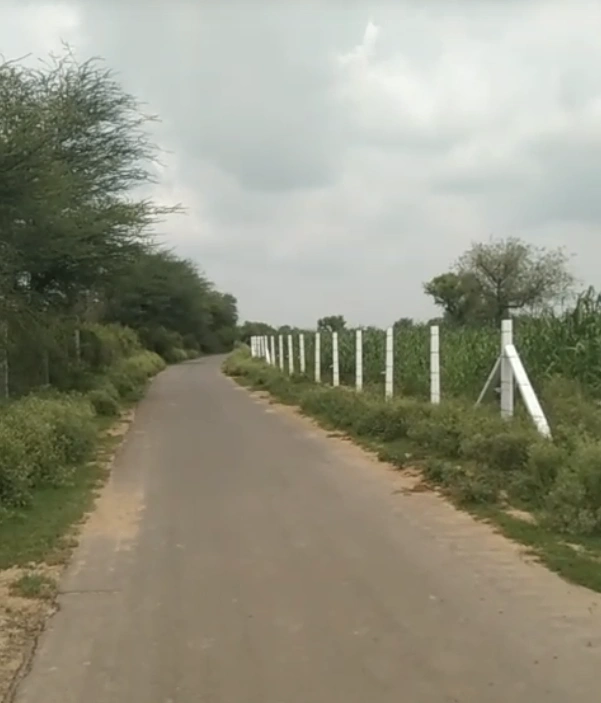 Jurathra, Sikar, Rajasthan 332402, India