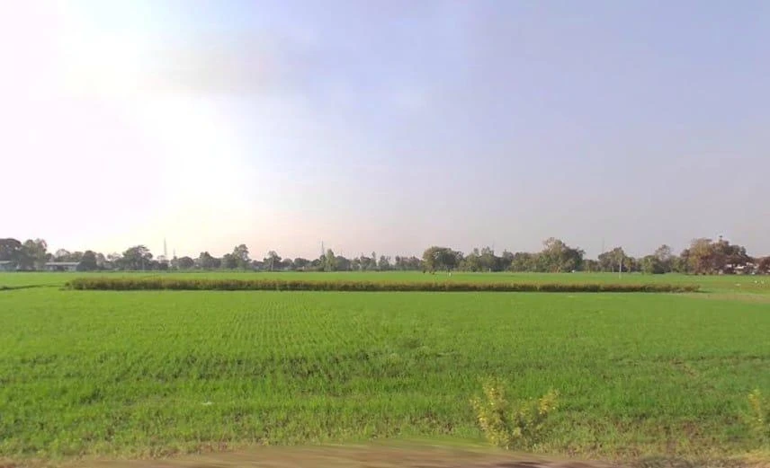 Tonk Road, Jaipur, Rajasthan 302015, India