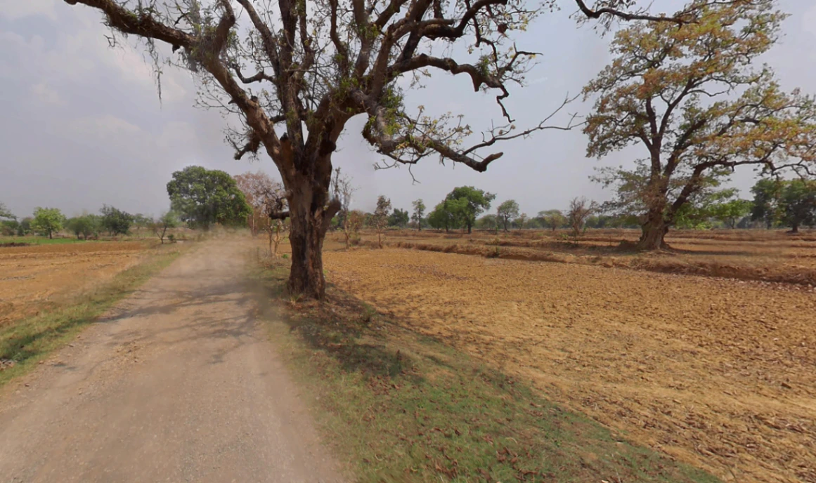 Bhalukona, Chhattisgarh 493449, India