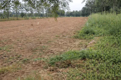 5C6P+8G Kukkanahalli, Karnataka, India preview 2