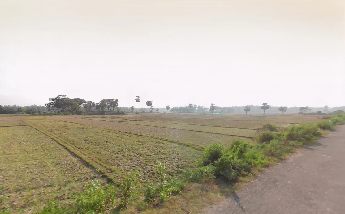 Khandapada, Odisha 752077, India preview 2