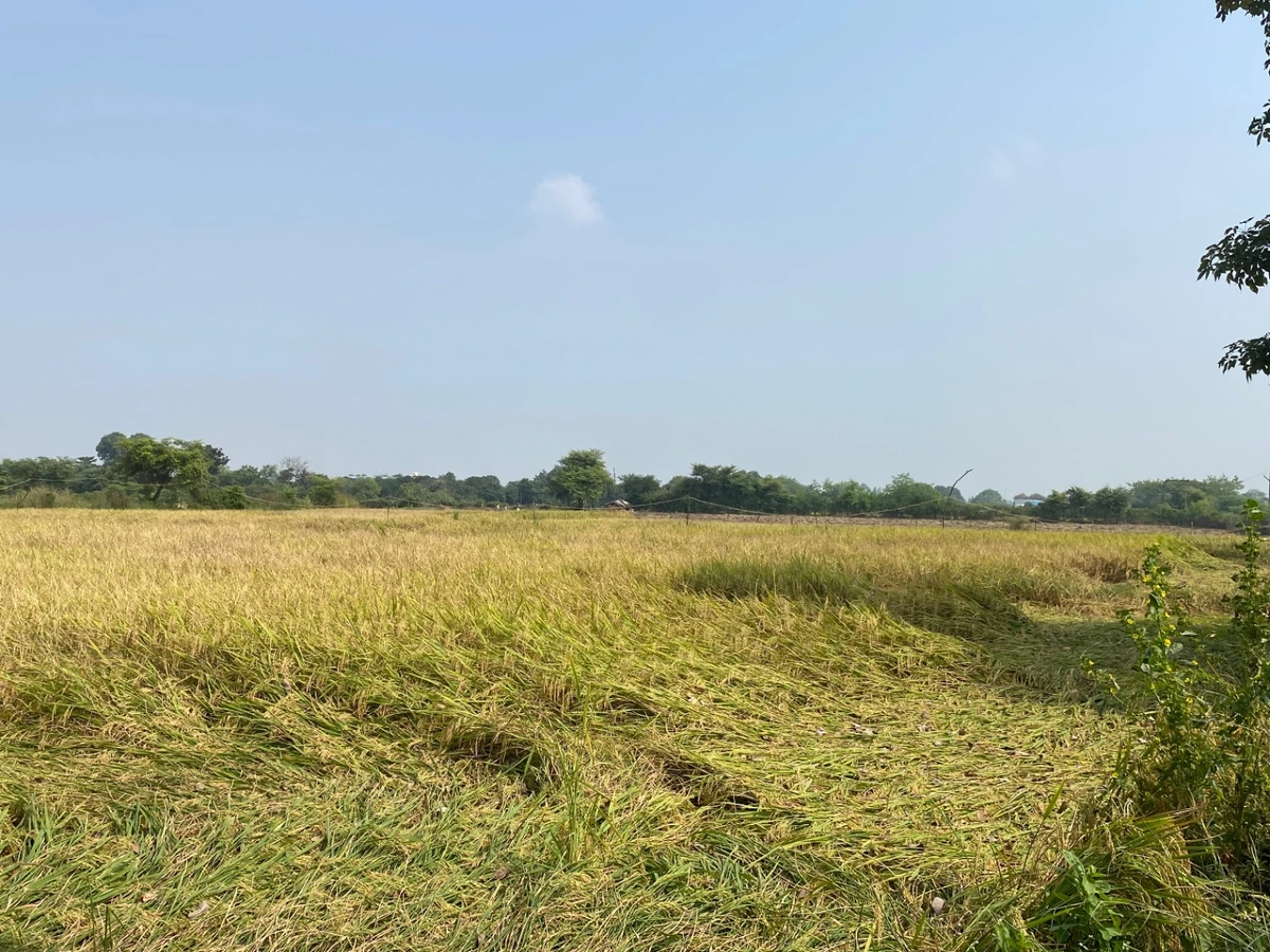 Narmadapuram, Madhya Pradesh, India