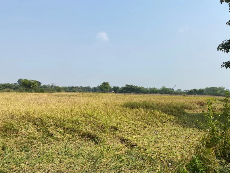 Narmadapuram, Madhya Pradesh, India preview 4