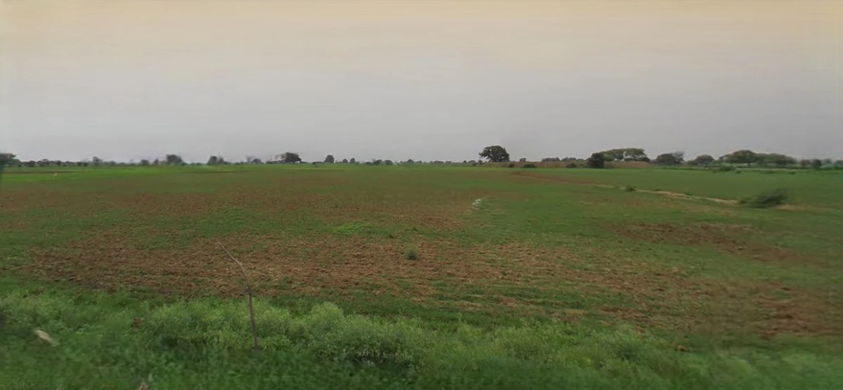 Sri Ganganagar, Rajasthan, India