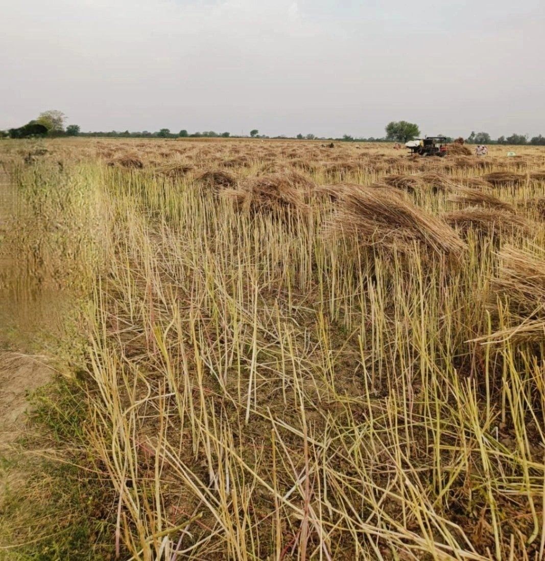 Gharwari, Rajasthan 321201, India