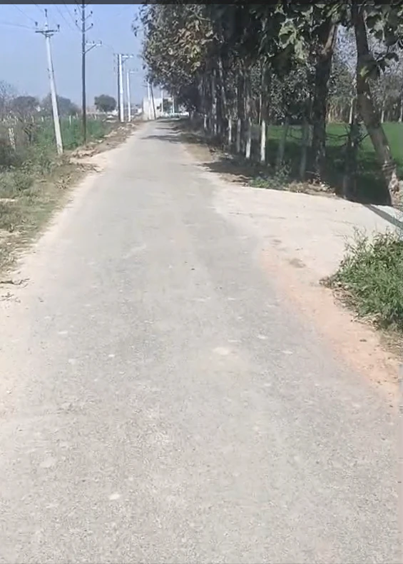 PJJ8+R4J, Afrashah Pur, Uttar Pradesh 245304, India