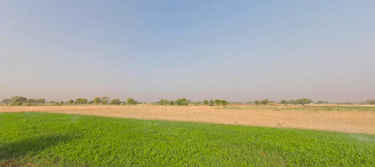 Choroti Istmurar, Rajasthan 301001, India
